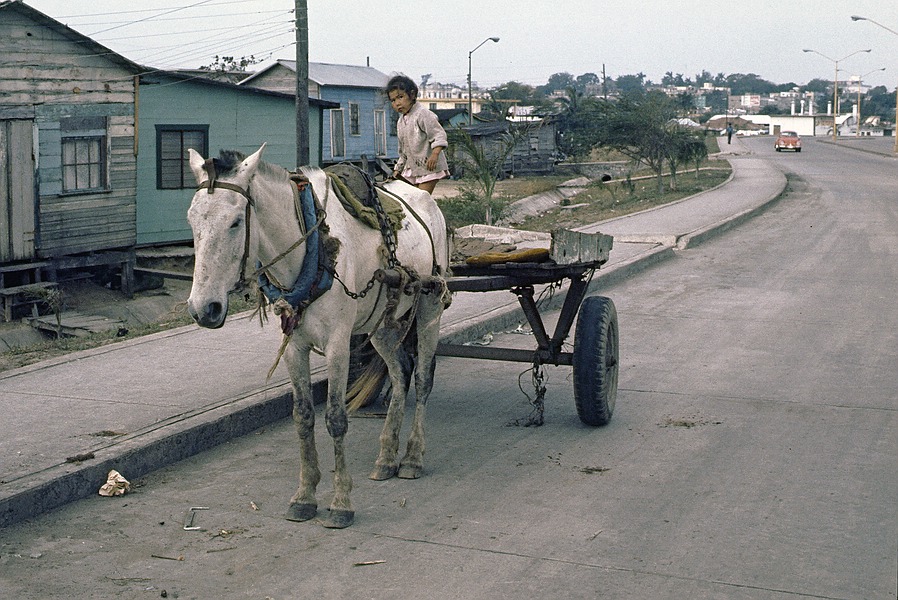 Kind Pferdewagen