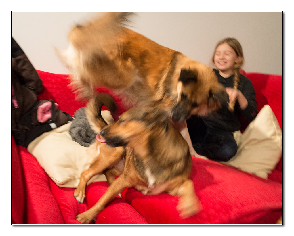 kind und hund1