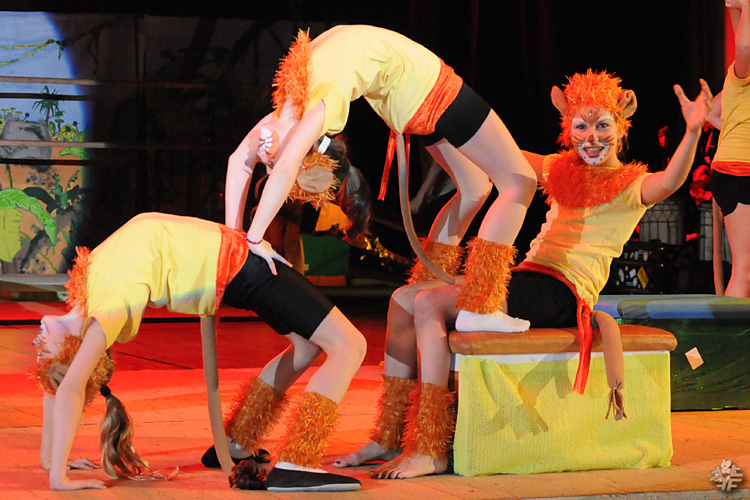 Kinderturn-Show (Affen-stark und Löwen-schlau)