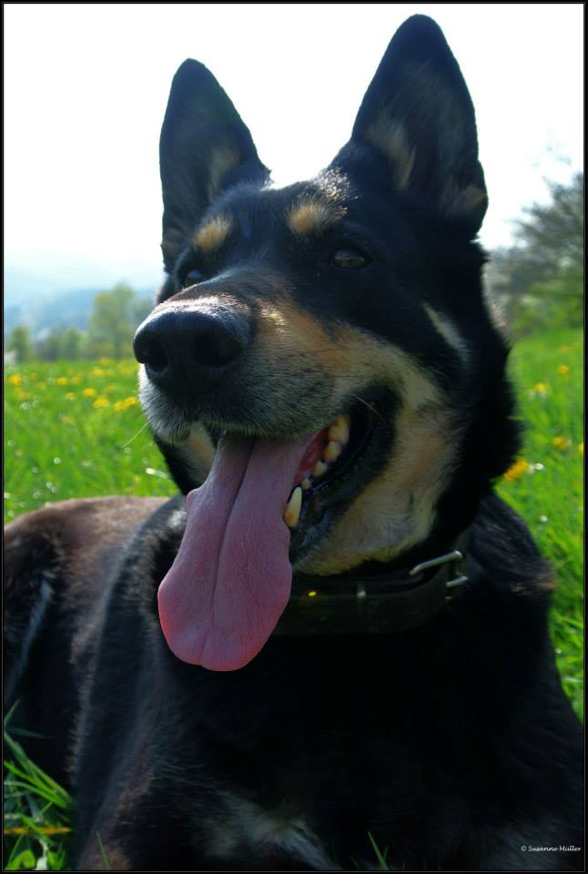 Kira