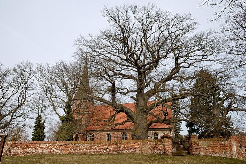 Kirche und Eiche