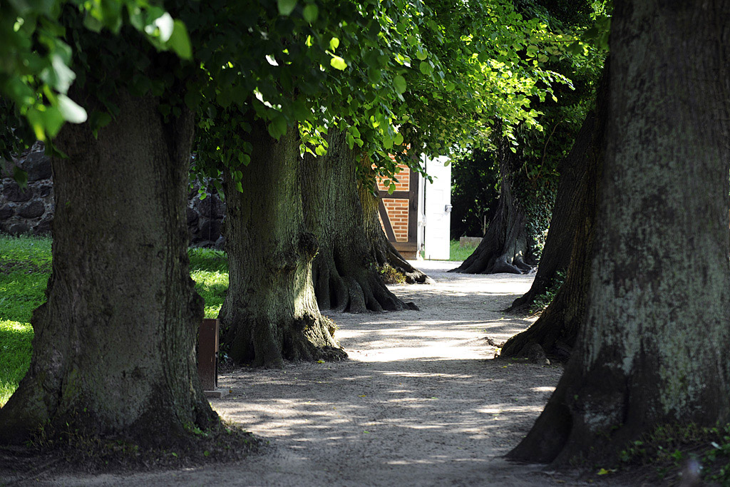 Kirchenallee