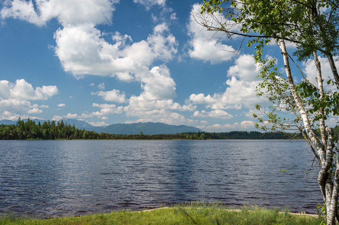 Kirchsee im Juni