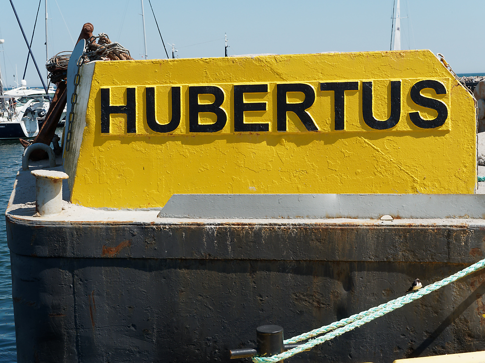 Klappschute Hubertus.jpg