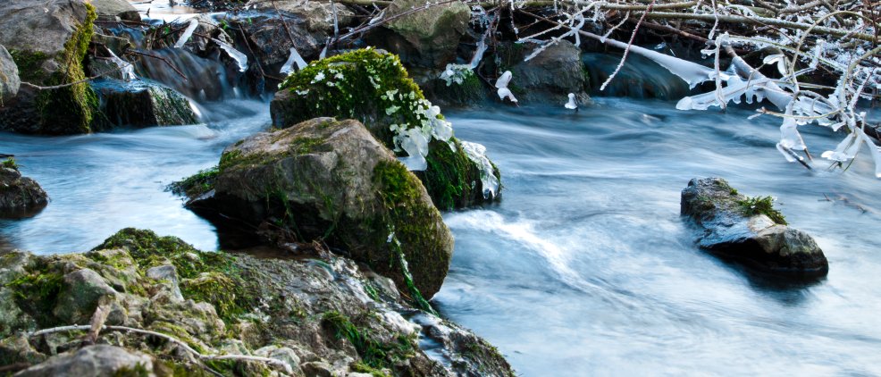 Kleiner Bach1