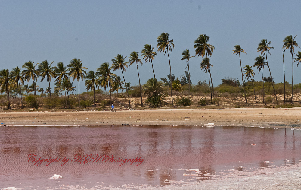 Kleiner Lac Rosé. Dieser kleine rosa gefärbte See oder Tümpel liegt in der Nähe von Gandiol/St.Louis-Senegal.
Die Rosafärbung entsteht durch Mineralie