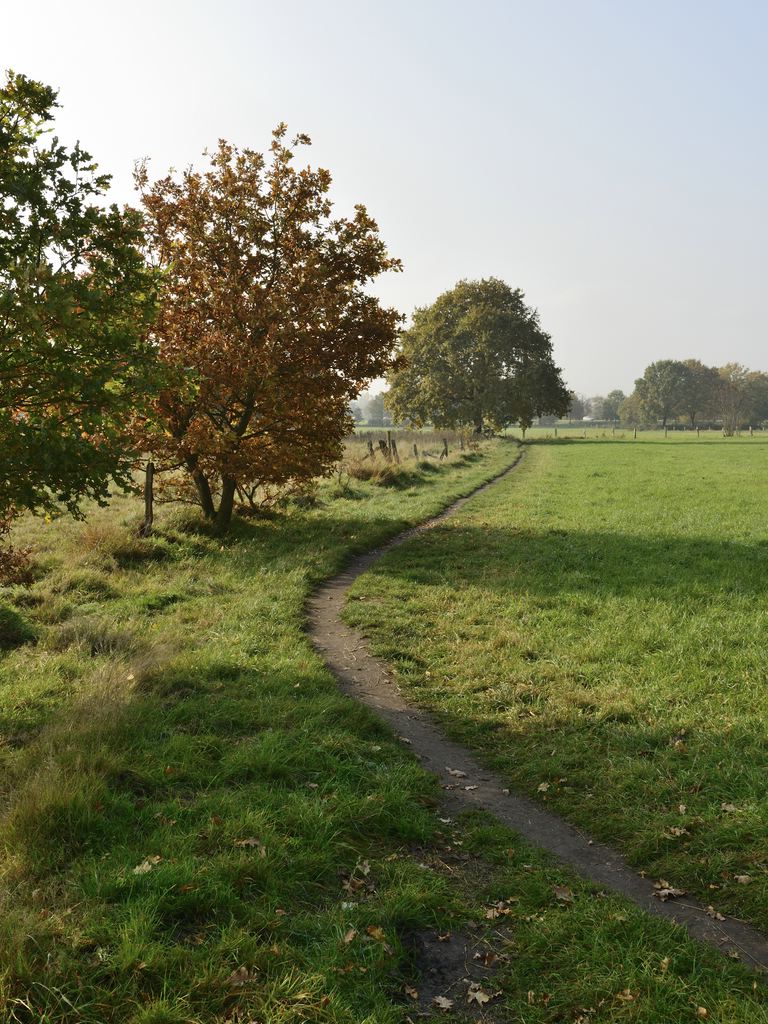 kleiner Weg zwischen den Wiesen
