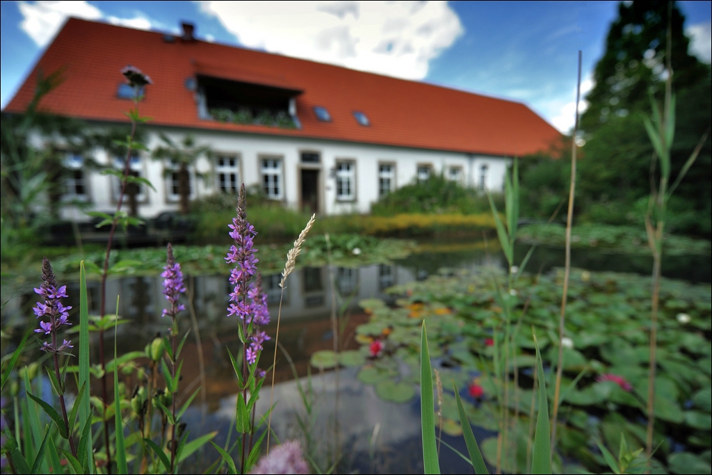 Kleines Paradies 07 / 2010