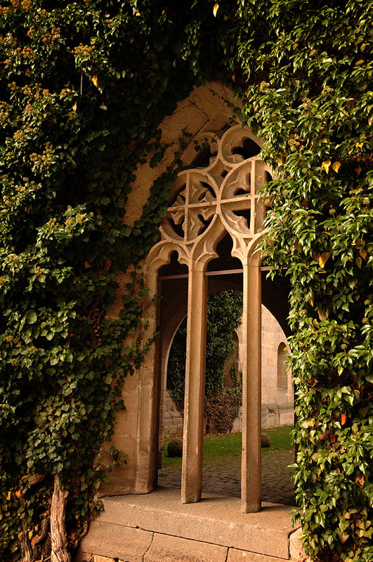 Kloster Bebenhausen bei Tübingen:
Fenster