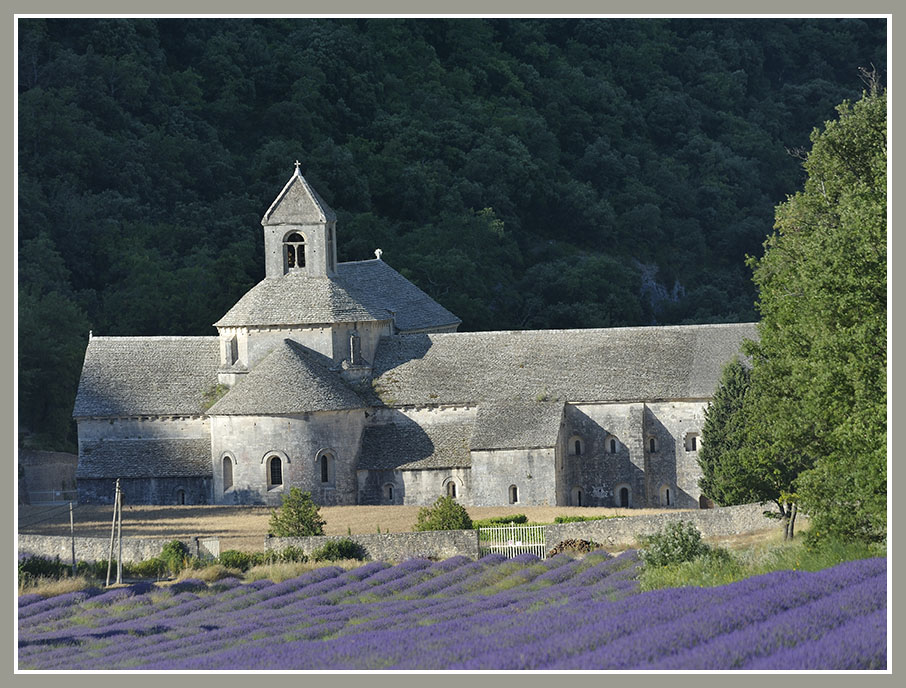 Kloster Sénanque, Provence