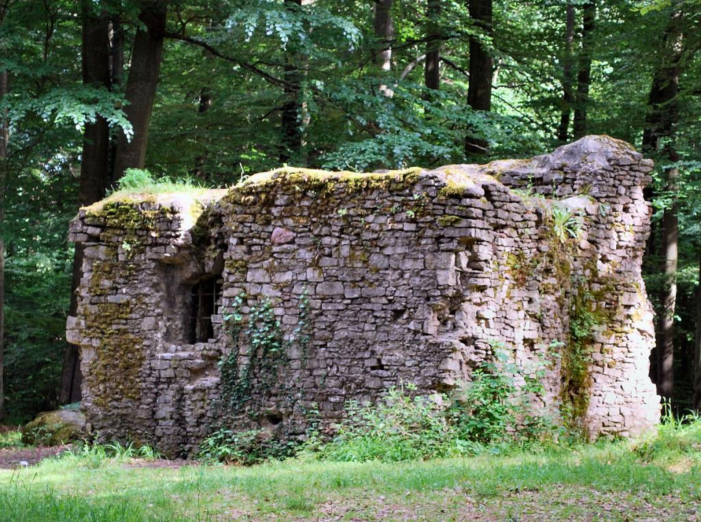 Klosterruine aufgenommen mit D60 standard Objektiv