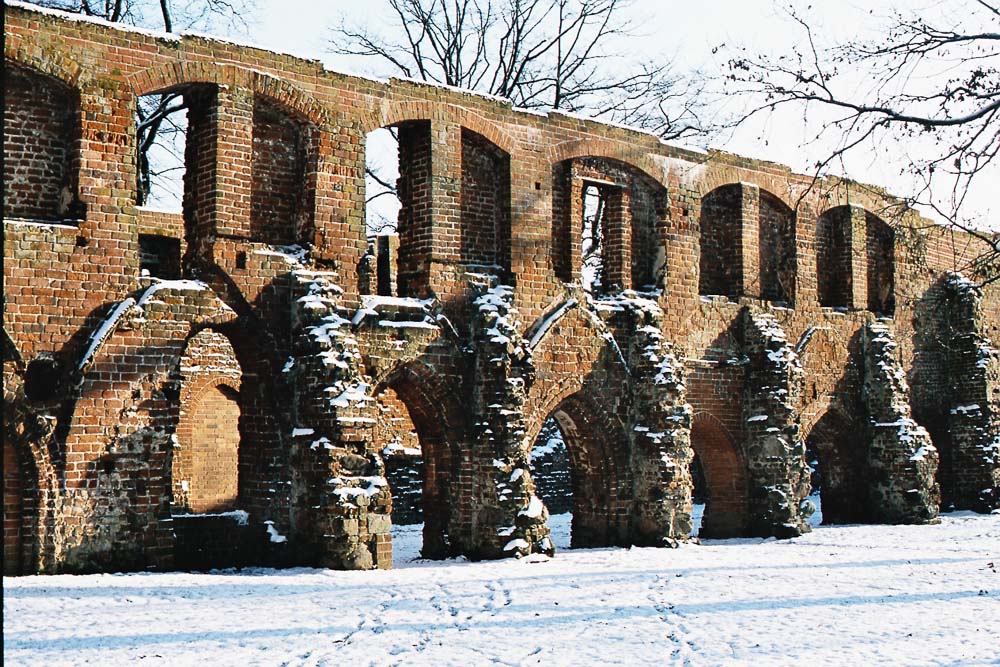 Klosterruine Eldena im Winter