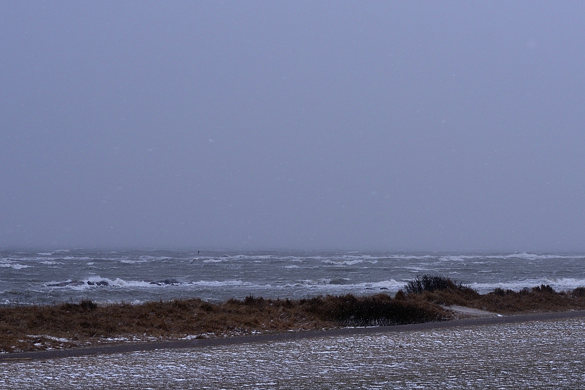 KLS201803170056S
Sturmtag am Strand von Heidkate (bei Kiel)