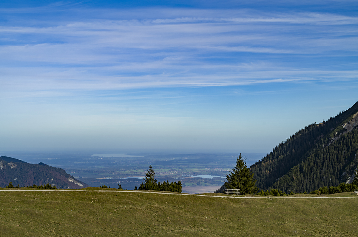 kM1003183.jpg