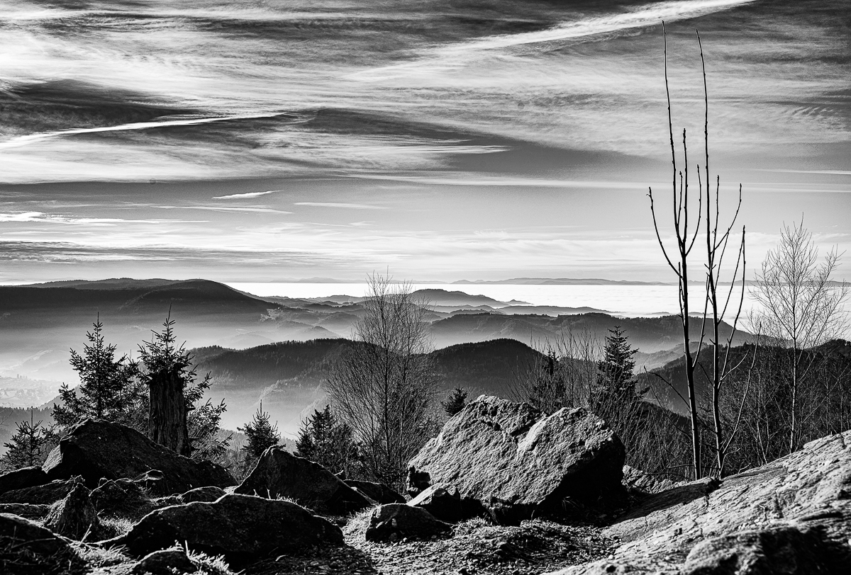 Kniebis Januar-5328-Bearbeitet.jpg