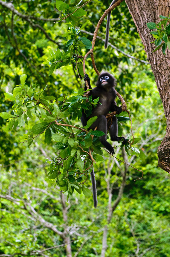 Koh Phangan 10