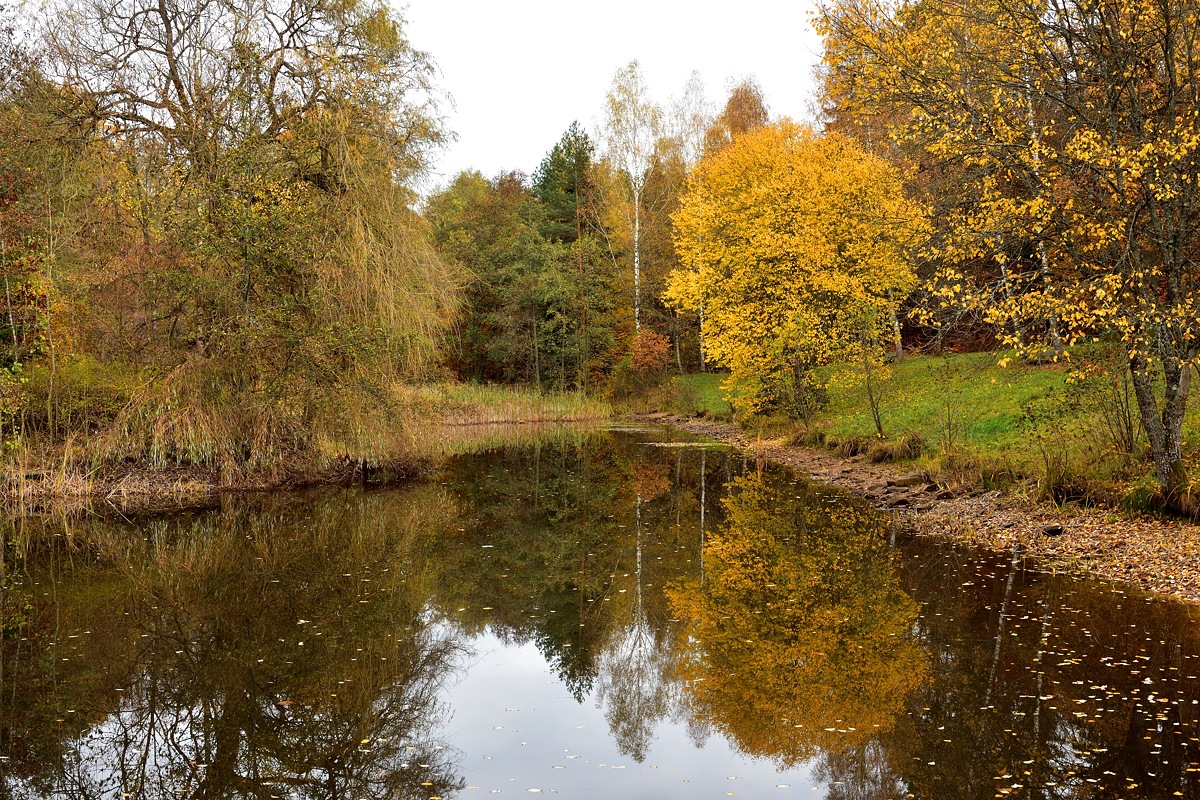 Kohlweiher 2018 24441