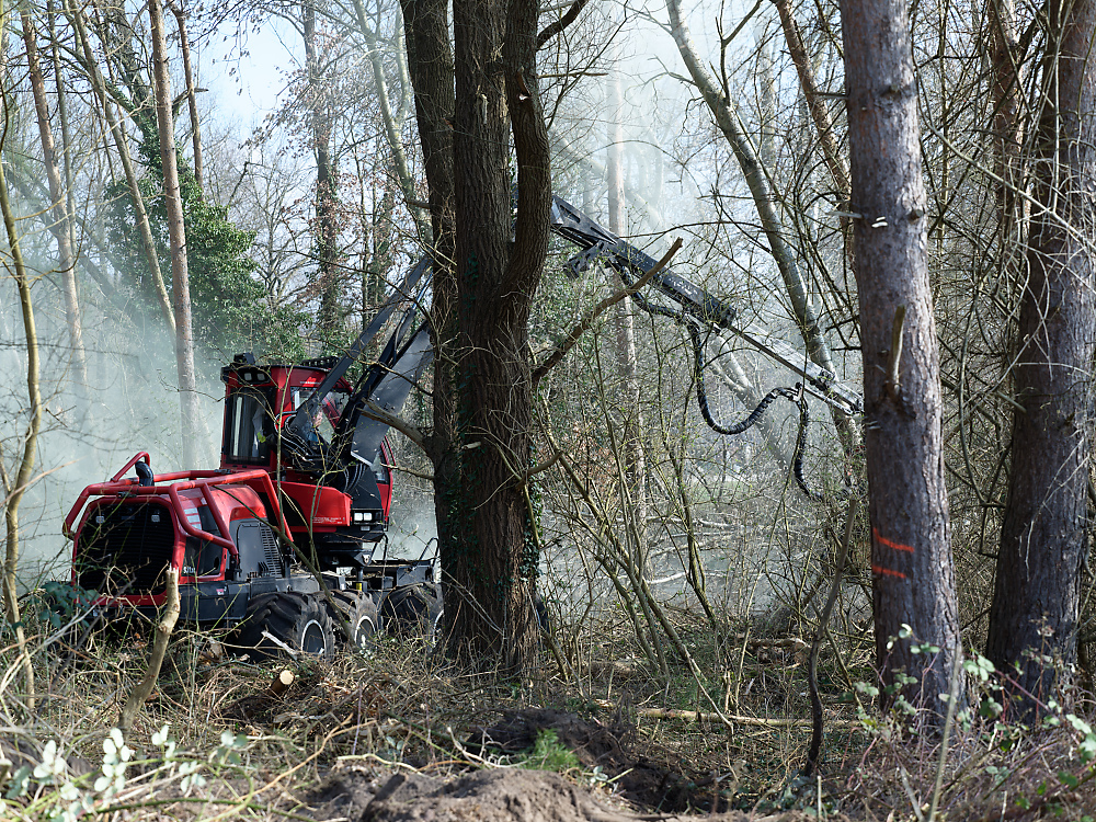 Komatsu Forest GmbH.jpg