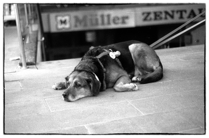 Konica VX400 Monochrome
Nikon FM
50mm ƒ/1.8 E-Serie