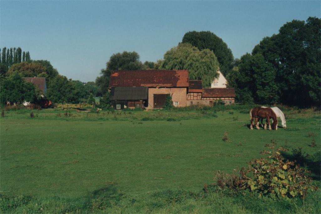 KoppelPferde
