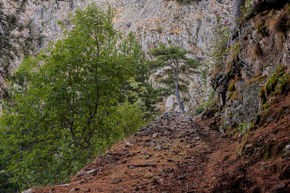 Korsika 2016 246