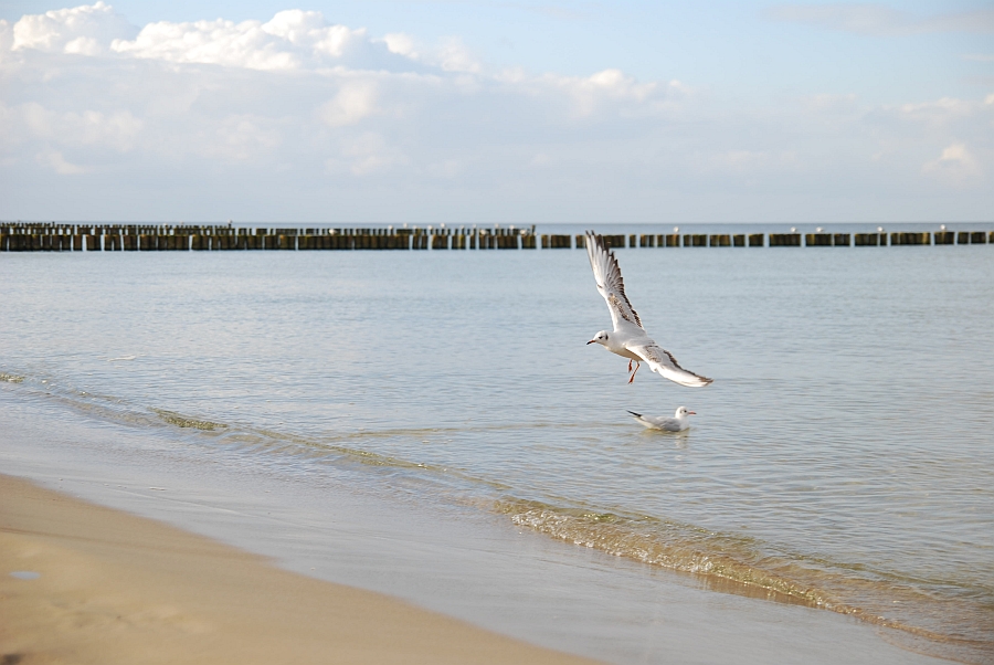 Koserow/Usedom Oktober 2008
