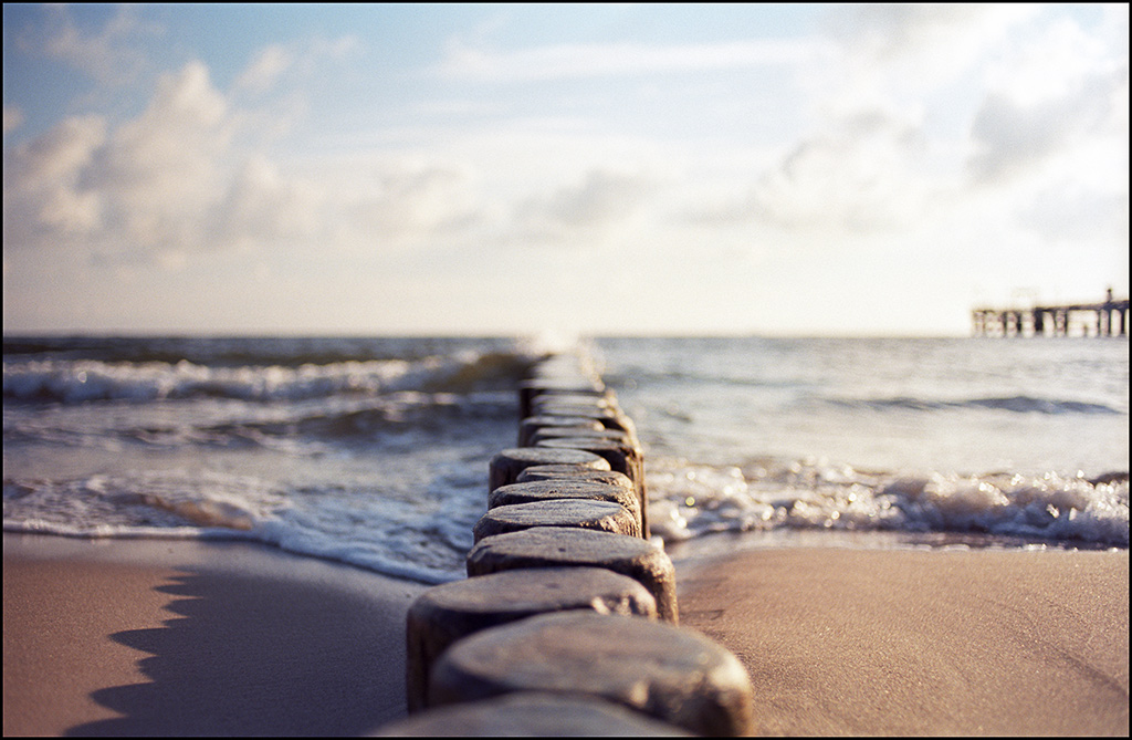 Koserow_ektar