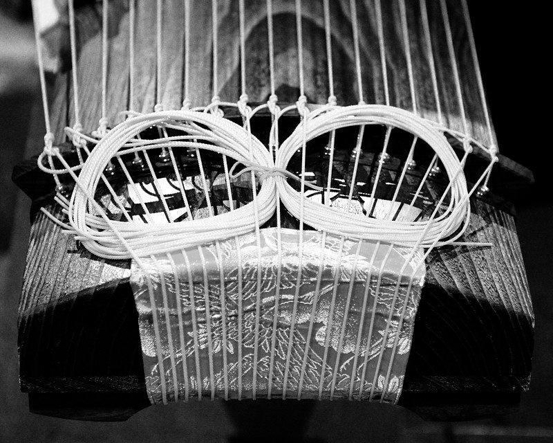 Koto01