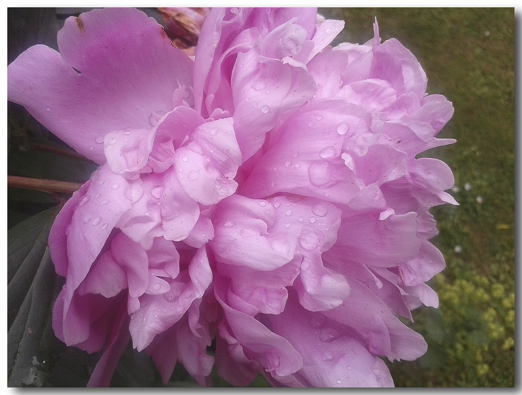 KR 20140604 181557 1