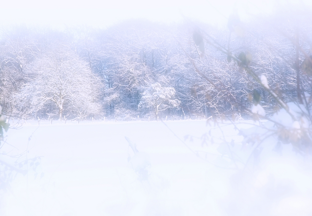 KR 540kDSC 5177ff