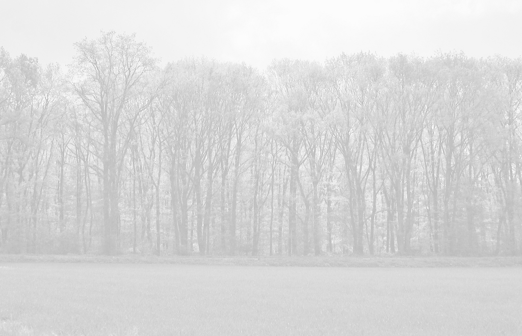 KR DSC 0186 1 2 o