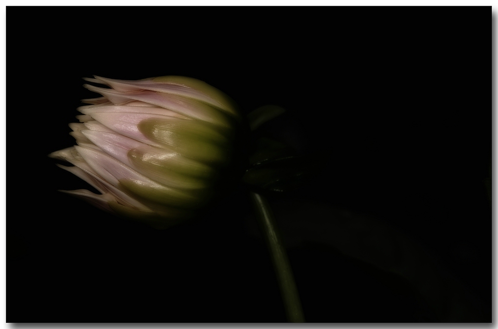KR DSC 0304 M