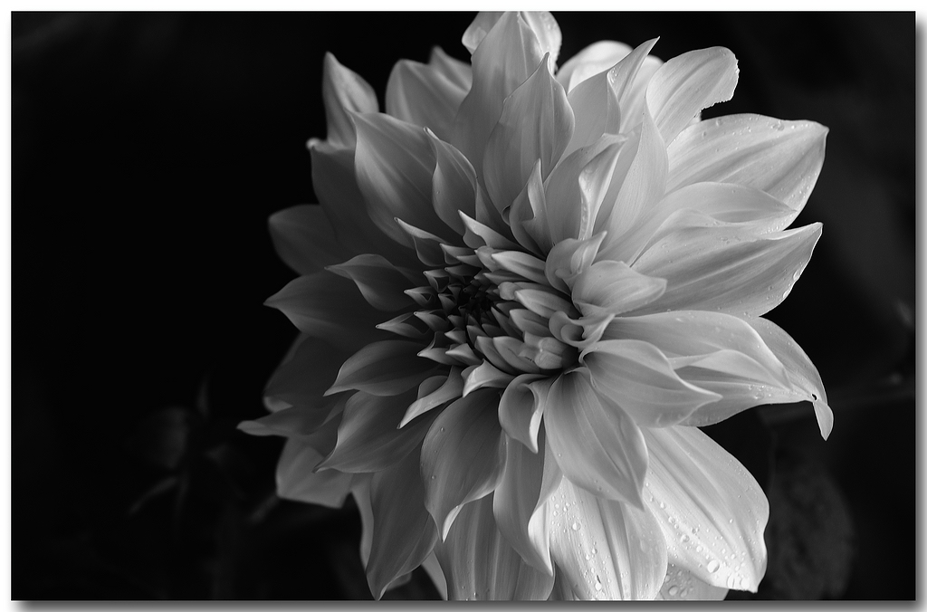 KR DSC 0357 SW