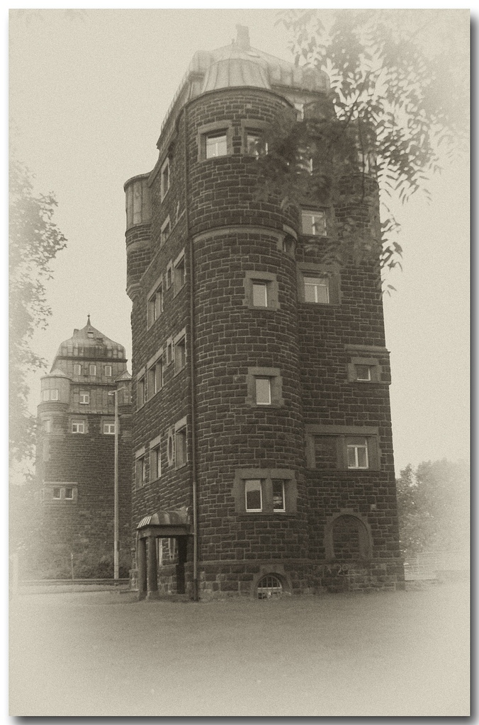KR DSC 0493 1