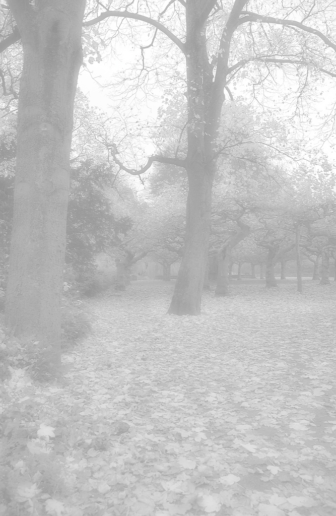 KR DSC 0665 Nebel
