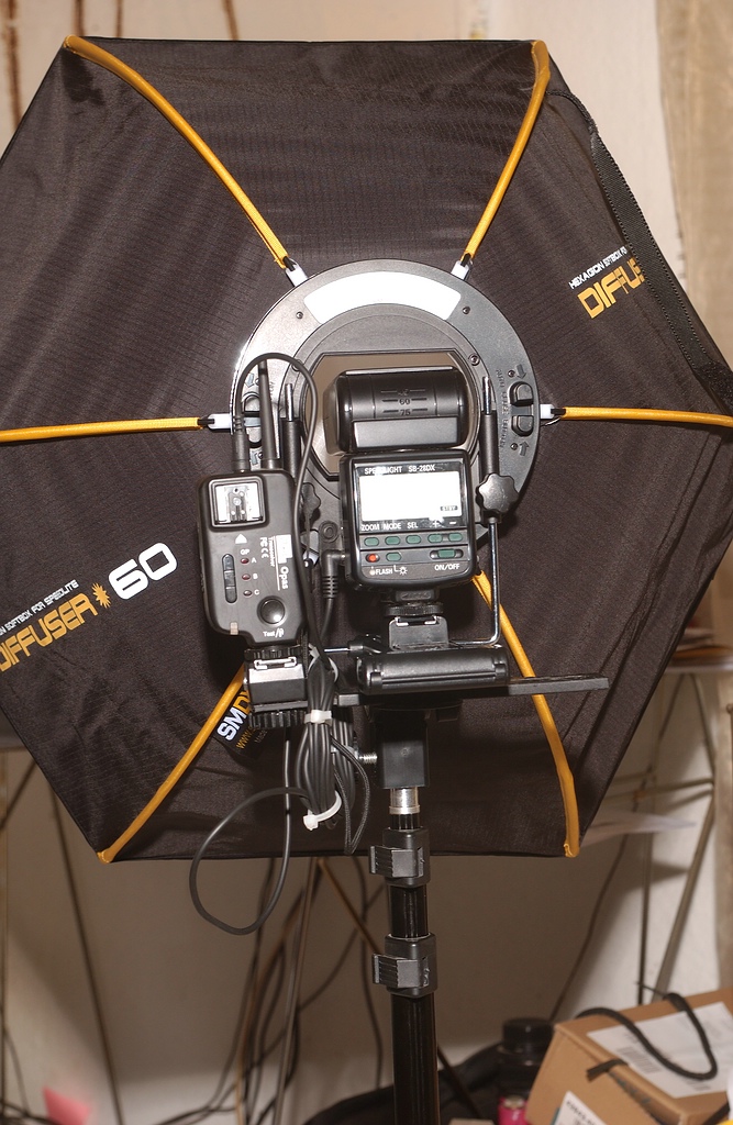 KR DSC 0727
