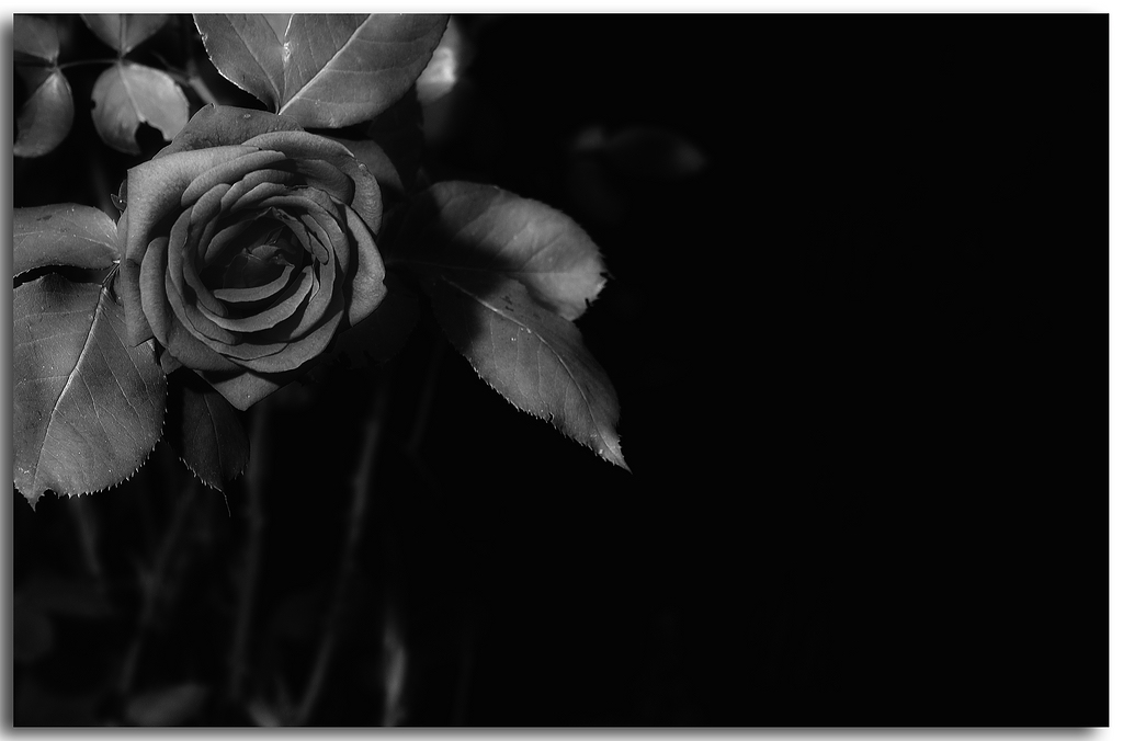 KR DSC 0764 1