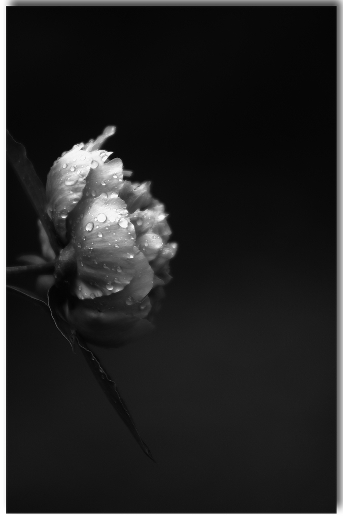 KR DSC 0841 1