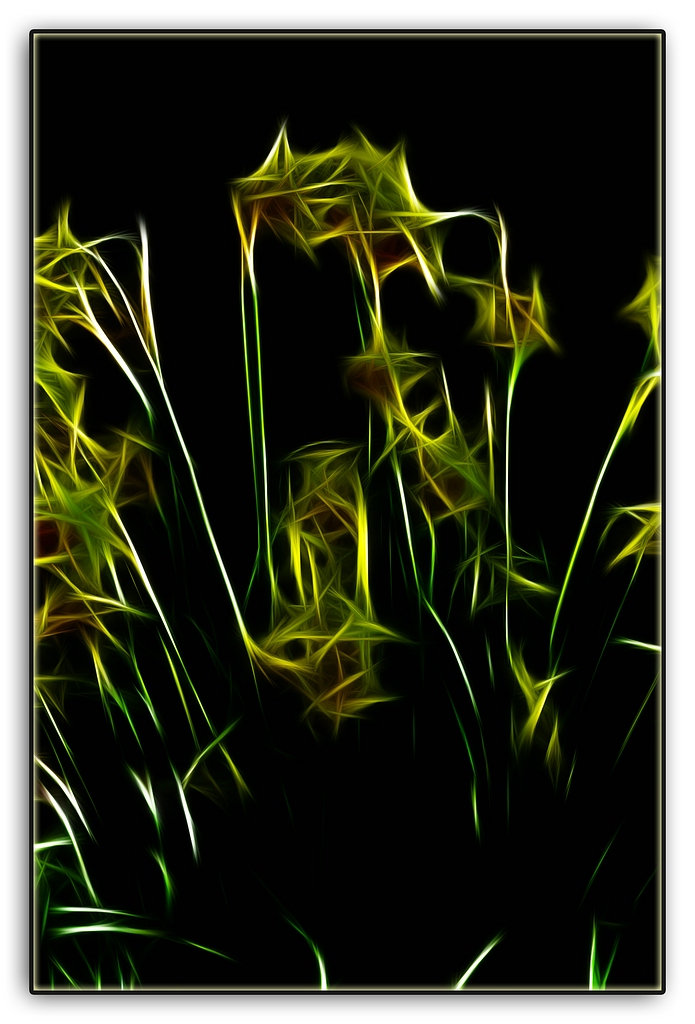 KR DSC 0934 Neon