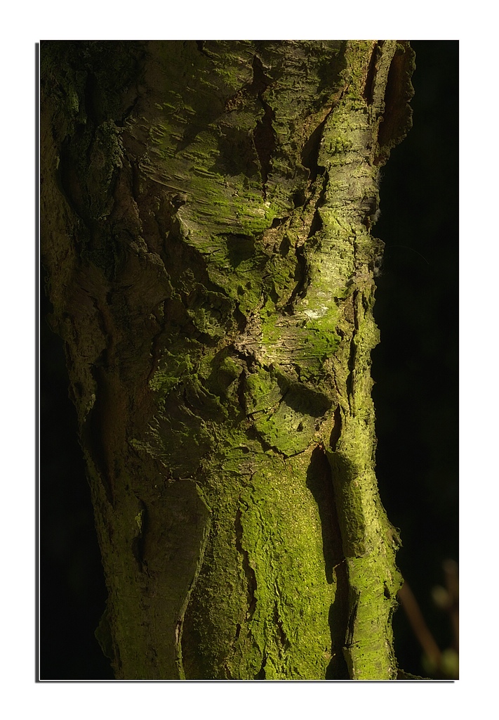 KR DSC 1080 GR