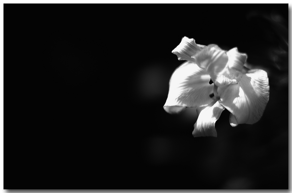 KR DSC 1108 1 sw