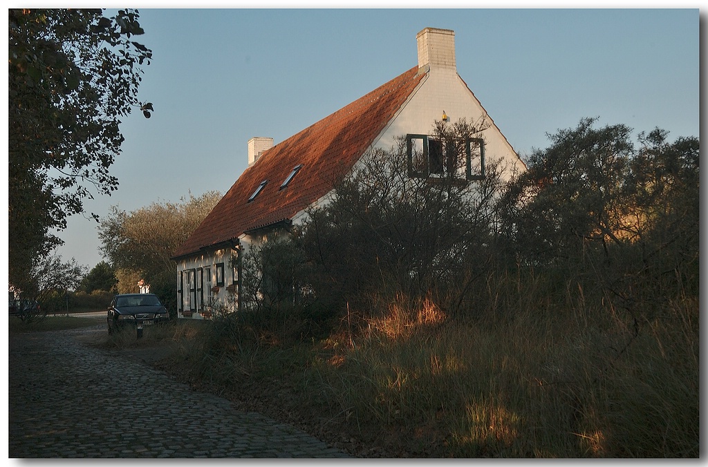 KR DSC 1451