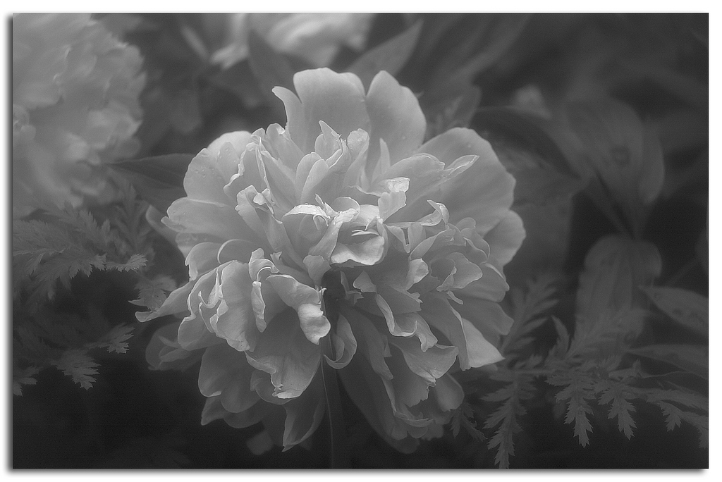 KR DSC 1934 R