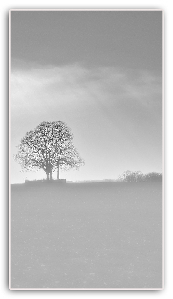KR DSC 2313 SW N