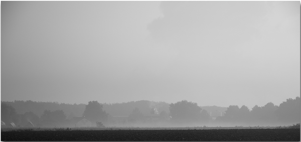 KR DSC 2778 SW