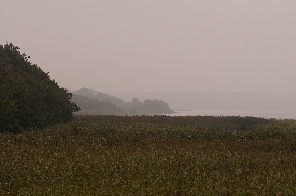 KR DSC 4076