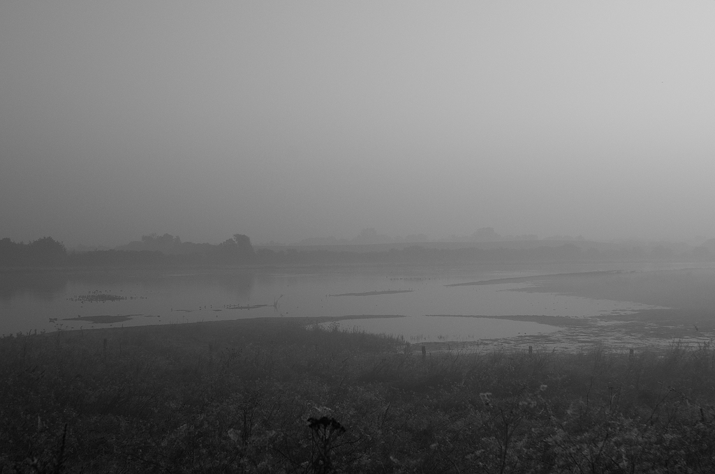 KR DSC 4126 1a