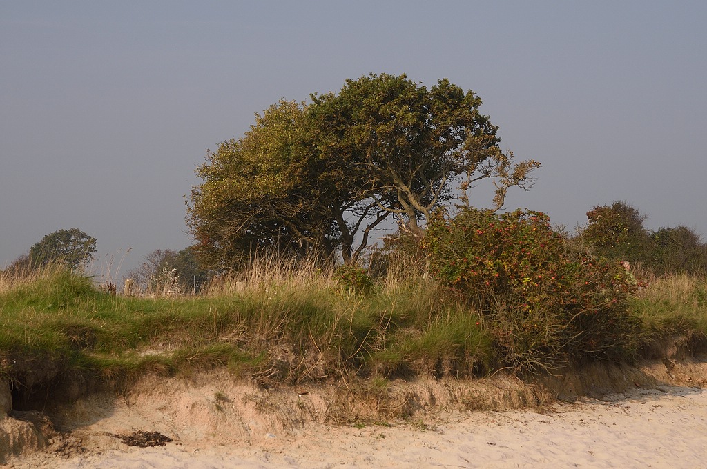 KR DSC 4141