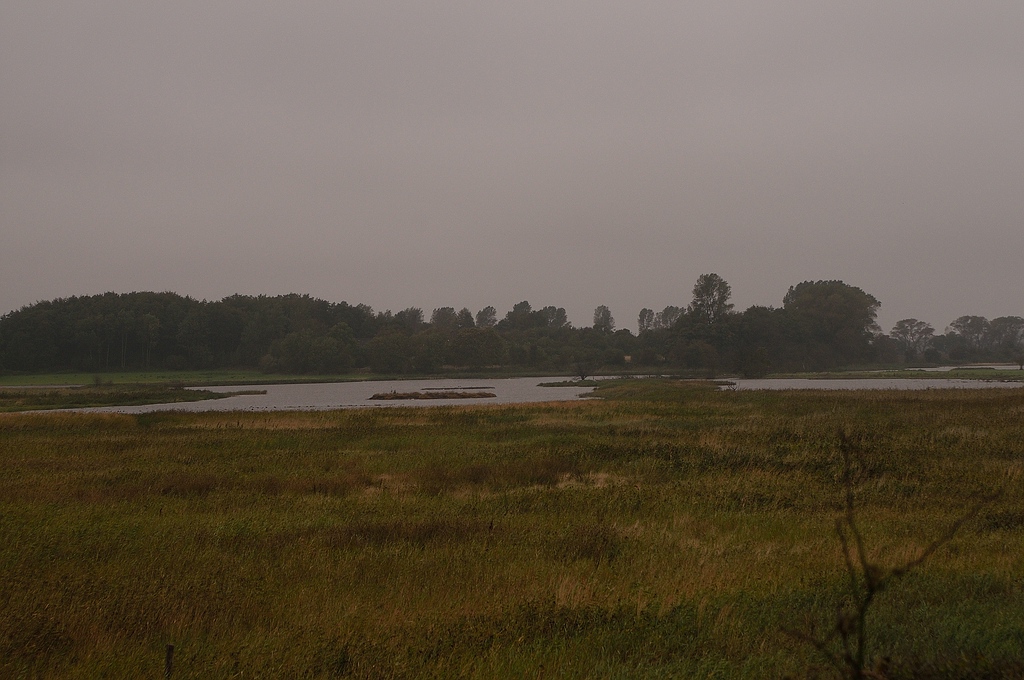 KR DSC 4295