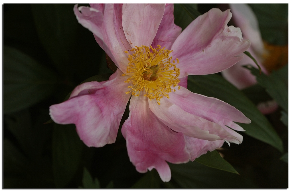 KR DSC 4738 R